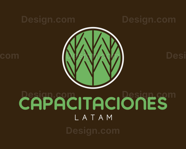 CAPACITACIONES LATAM
